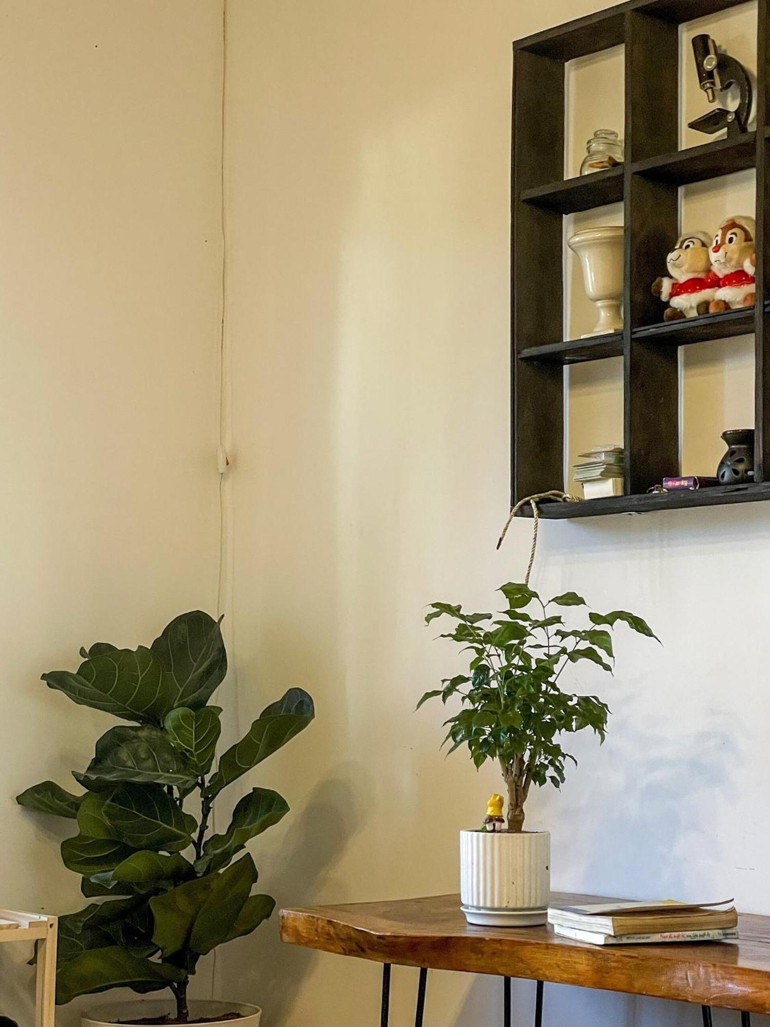 Hat De Homestay Đà Lạt Extérieur photo