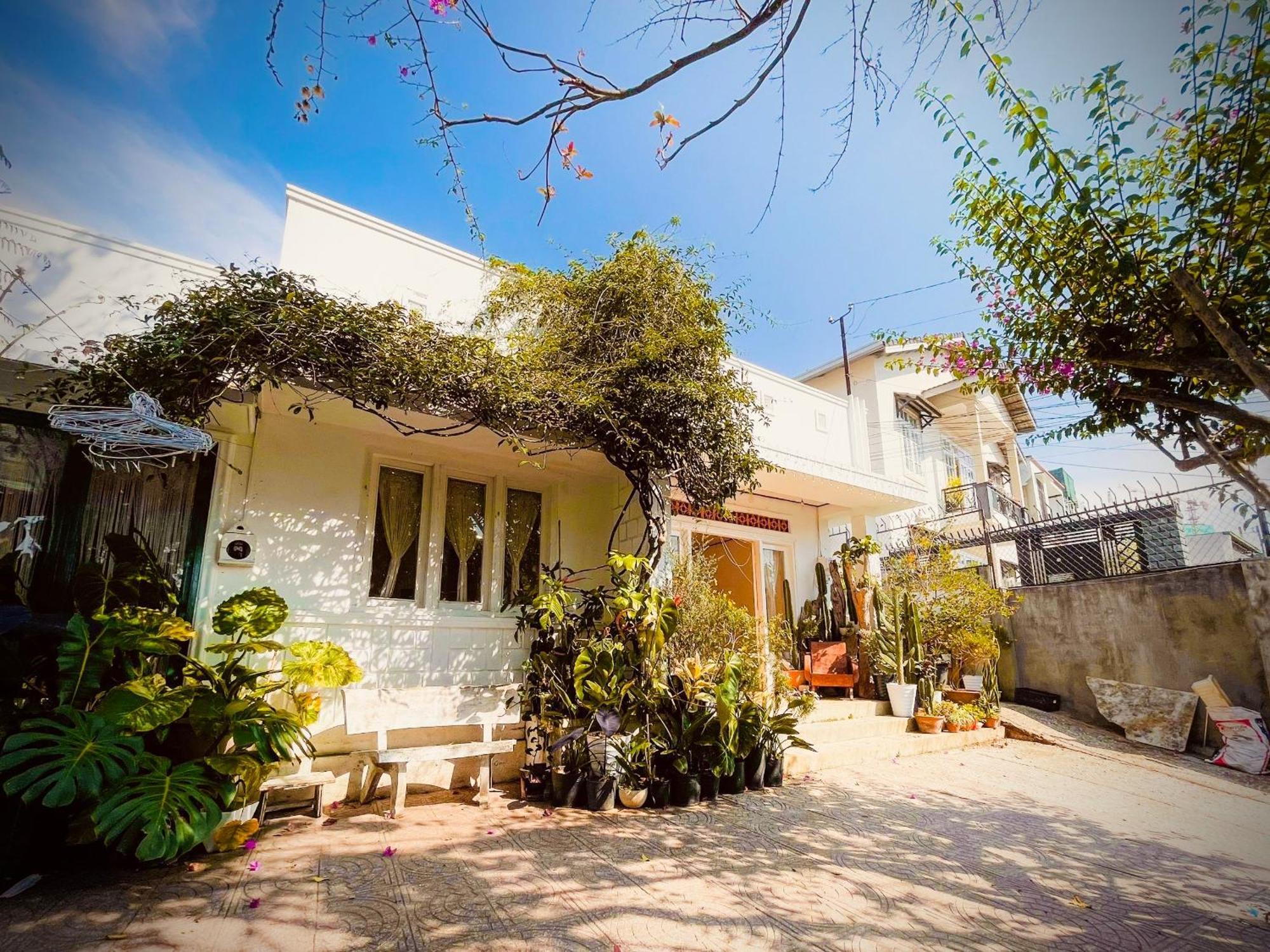 Hat De Homestay Đà Lạt Extérieur photo