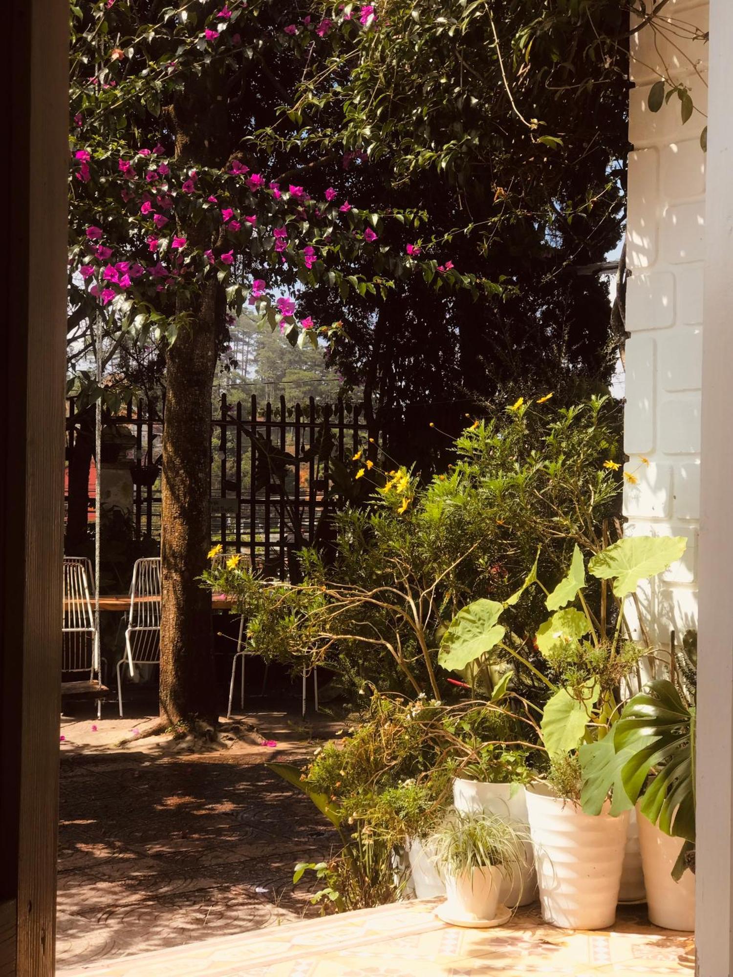 Hat De Homestay Đà Lạt Extérieur photo