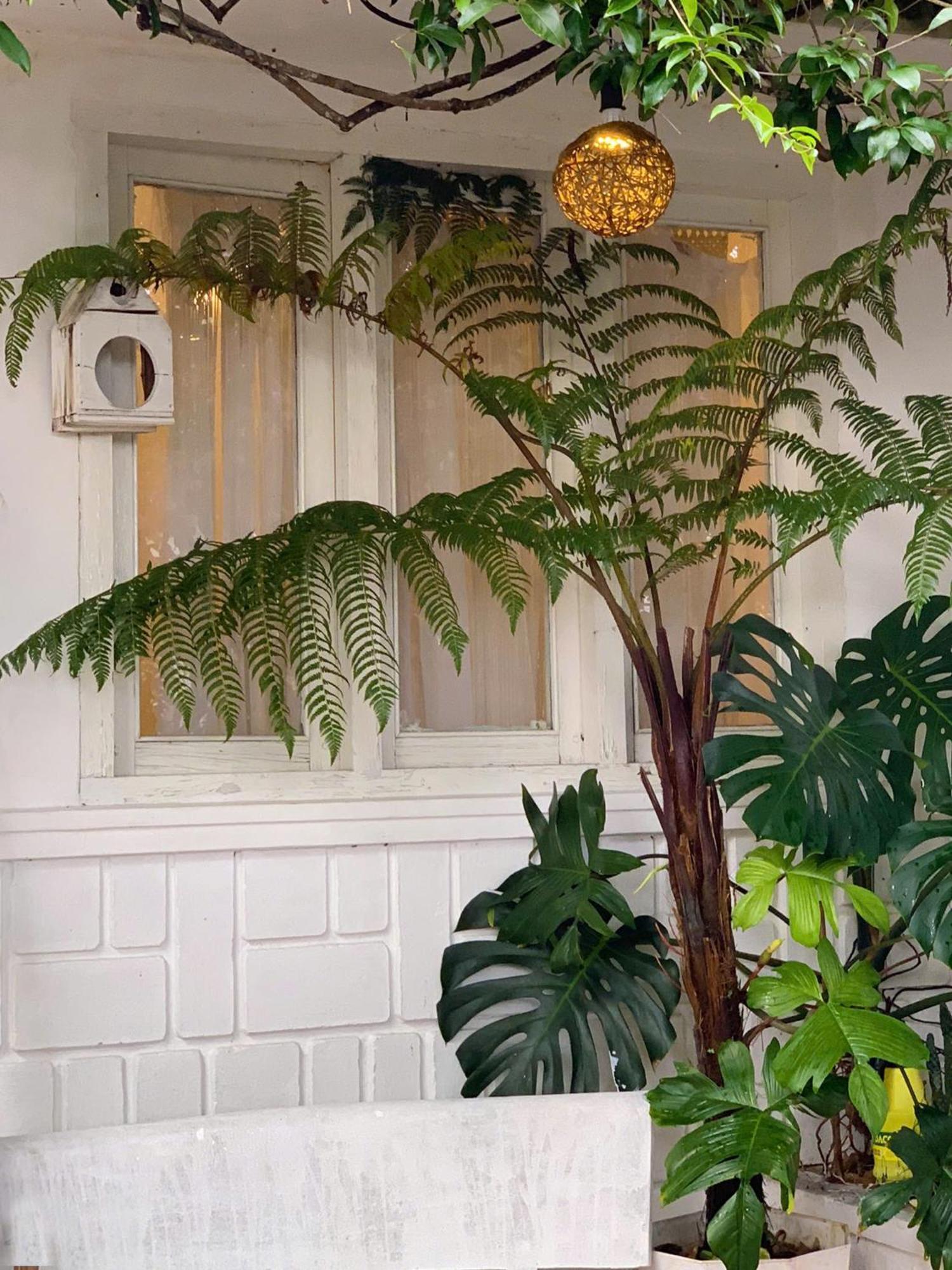 Hat De Homestay Đà Lạt Extérieur photo