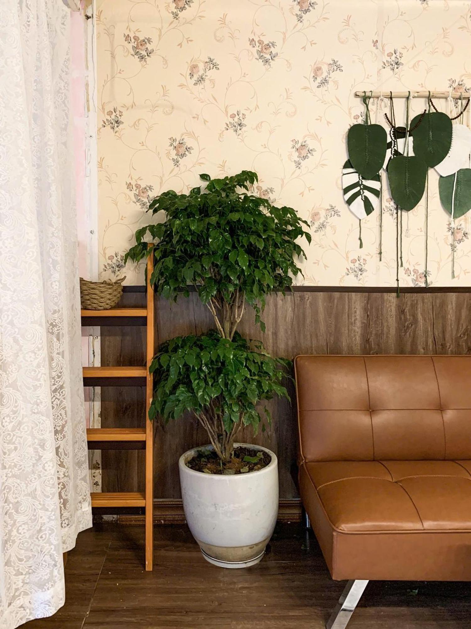 Hat De Homestay Đà Lạt Extérieur photo